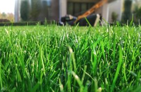 moyers-lawn-landscaping-sldr3
