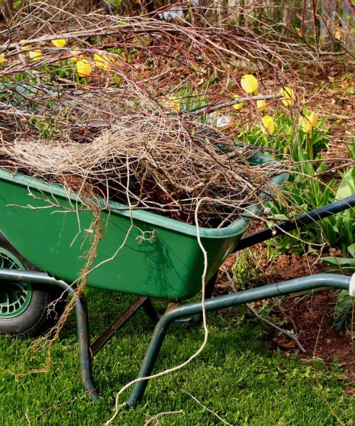 yard cleaning